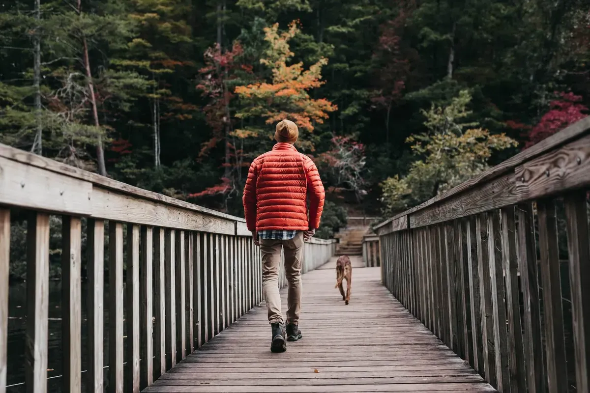Man walking a dog across a wooden bridge in an autumn forest