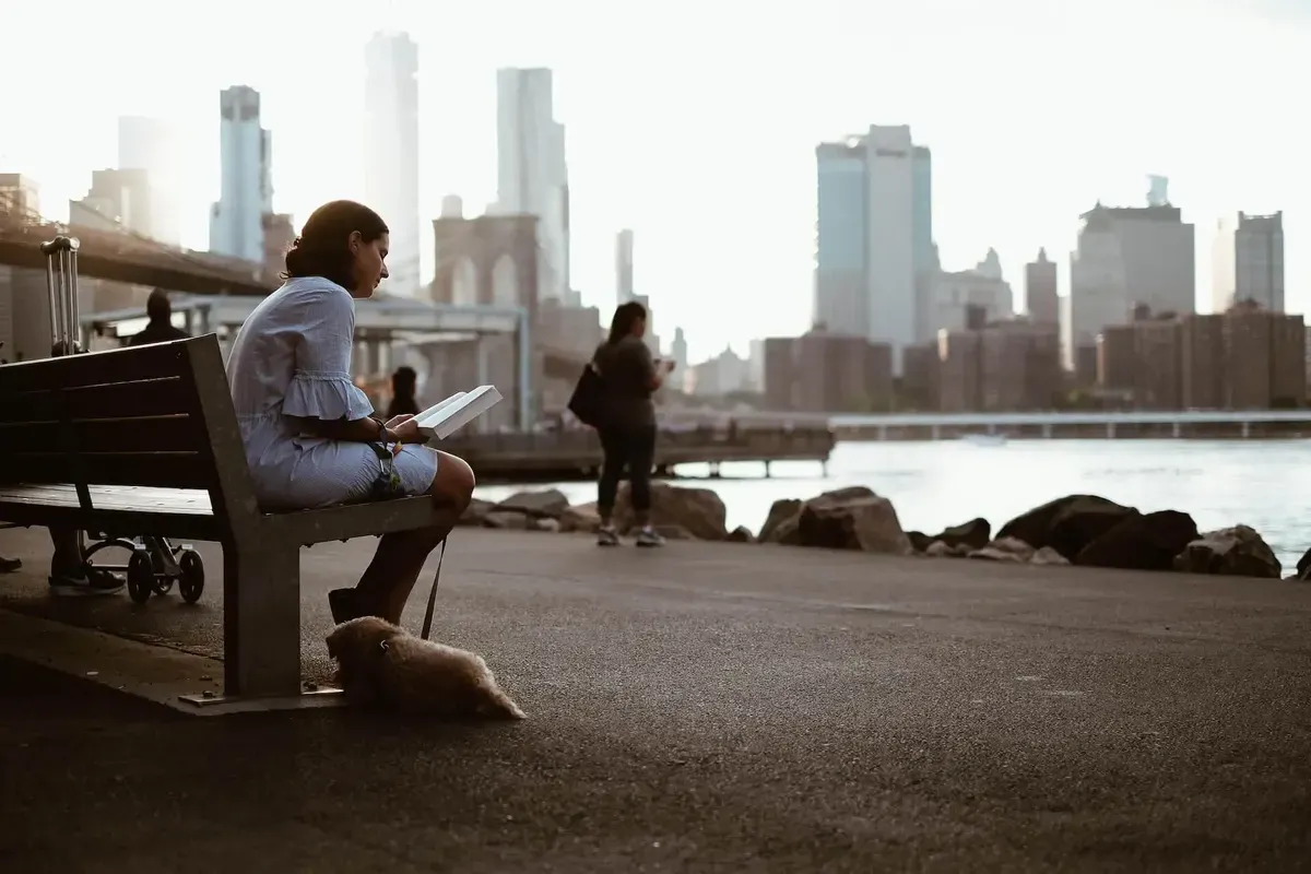 Woman reading on a bench with her dog and a city skyline