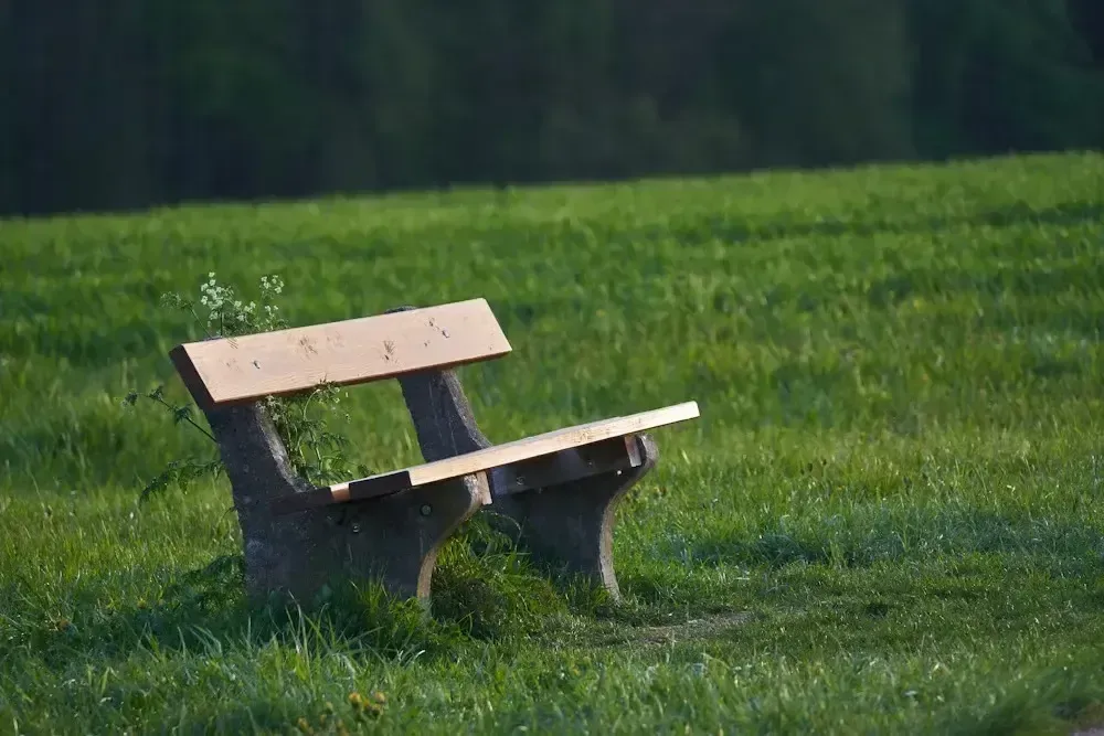 empty park bench in a green field
