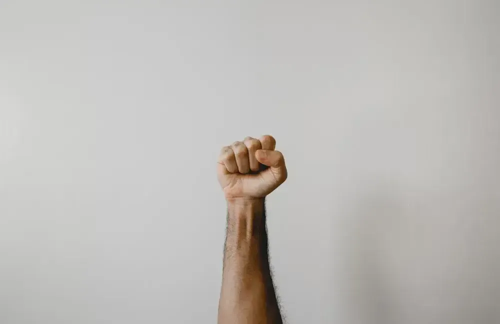 Raised fist against a plain grey background