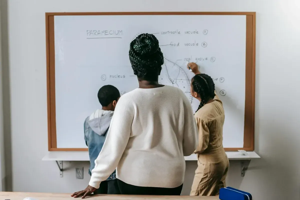 Free stock image of a teacher watching her two students label a diagram on a class white board.