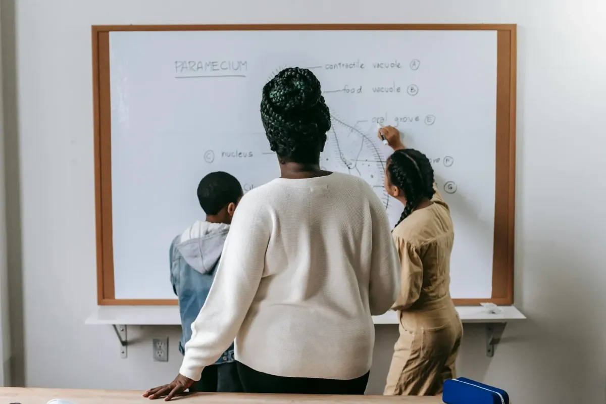 Free stock image of a teacher watching her two students label a diagram on a class white board.