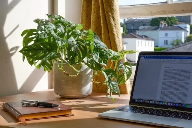 How to Be Productive at Home: 10 Tips When Working Remotely